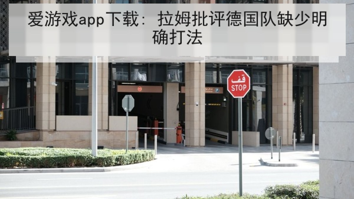 爱游戏app下载: 拉姆批评德国队缺少明确打法